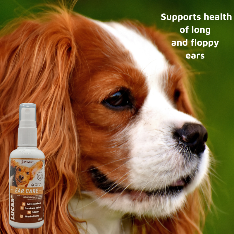 Pet Probiotic Ear Care - 100ml Spray