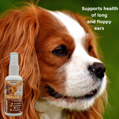 Pet Probiotic Ear Care - 100ml Spray