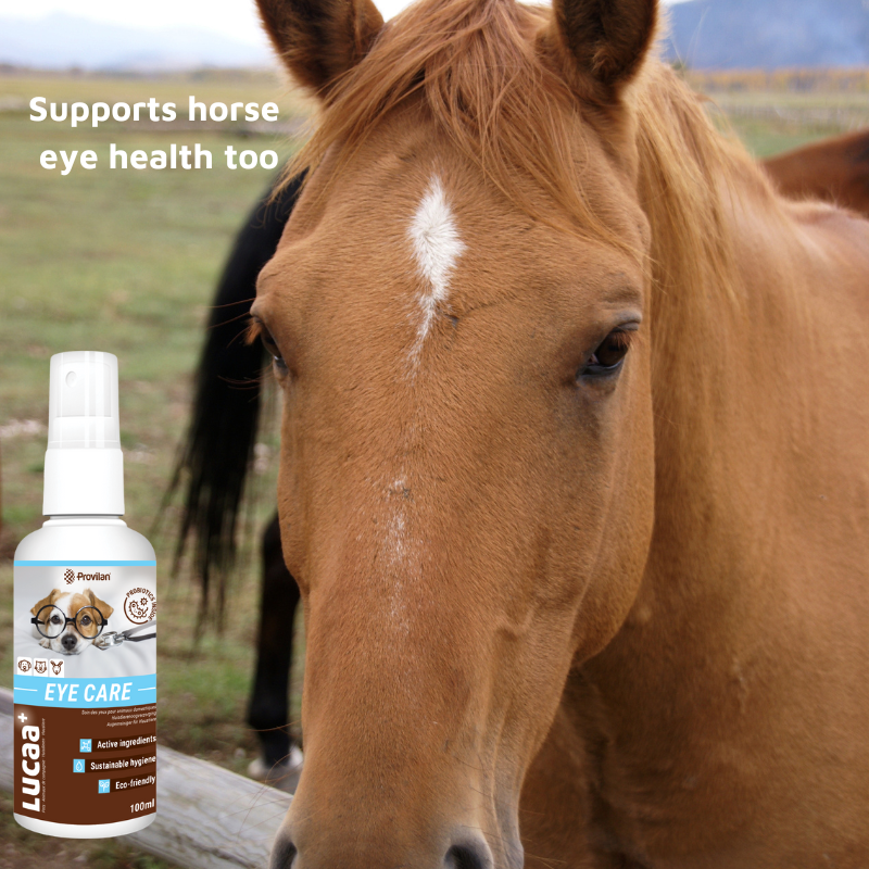 Pet Probiotic Eye Care - 100ml Spray
