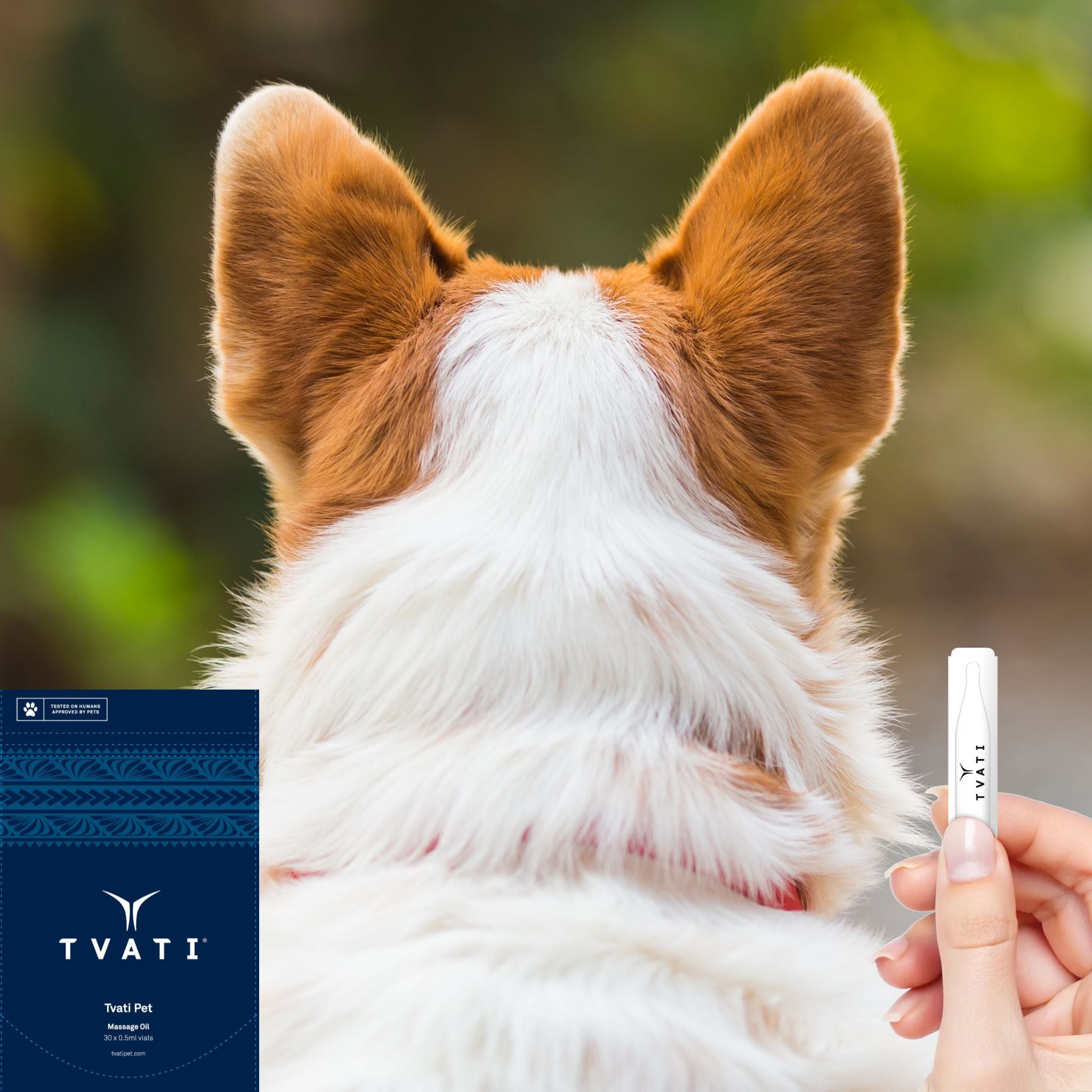 arthritis support for dogs