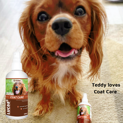 Pet Probiotic Coat Care - 300ml Spray