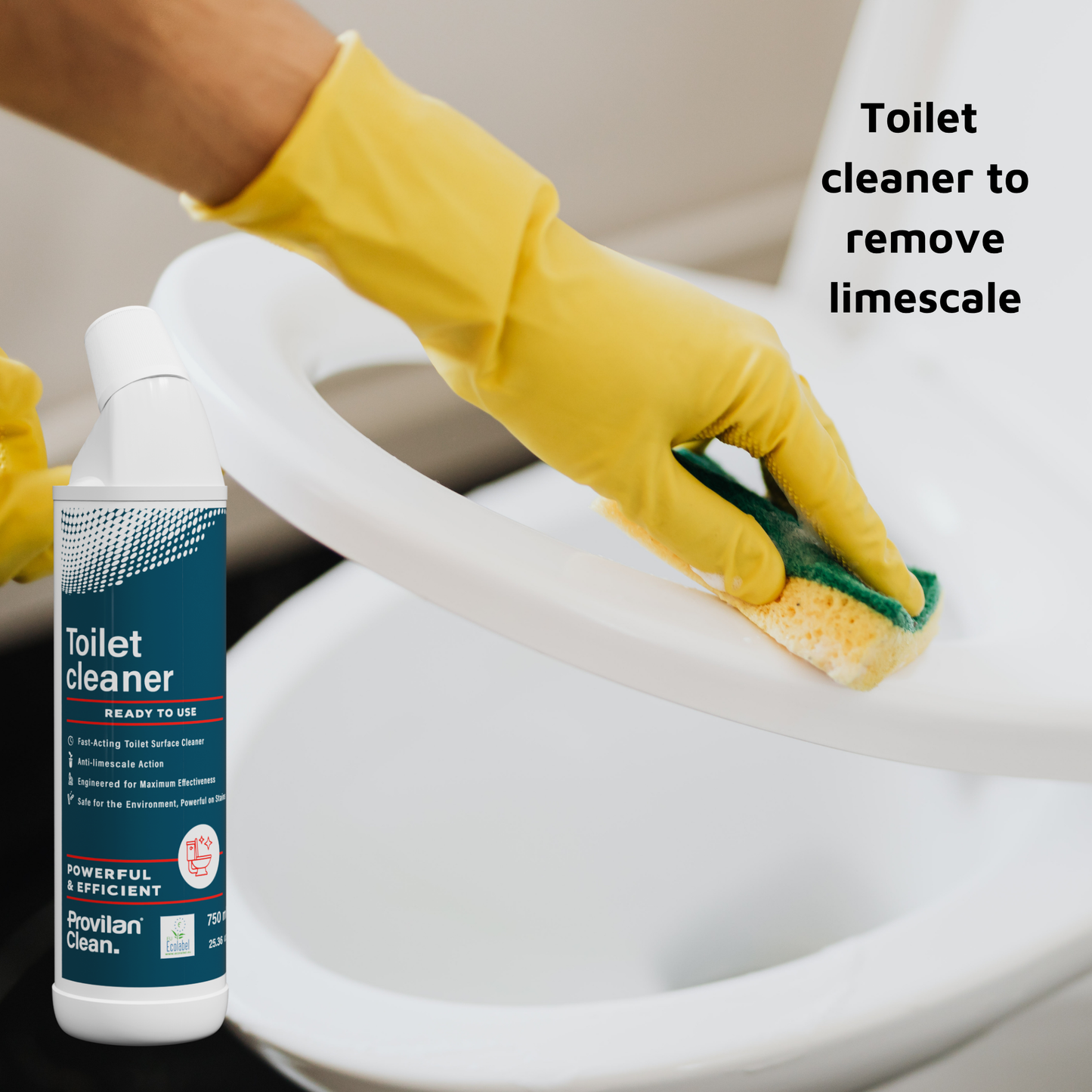 Natural Toilet Cleaner
