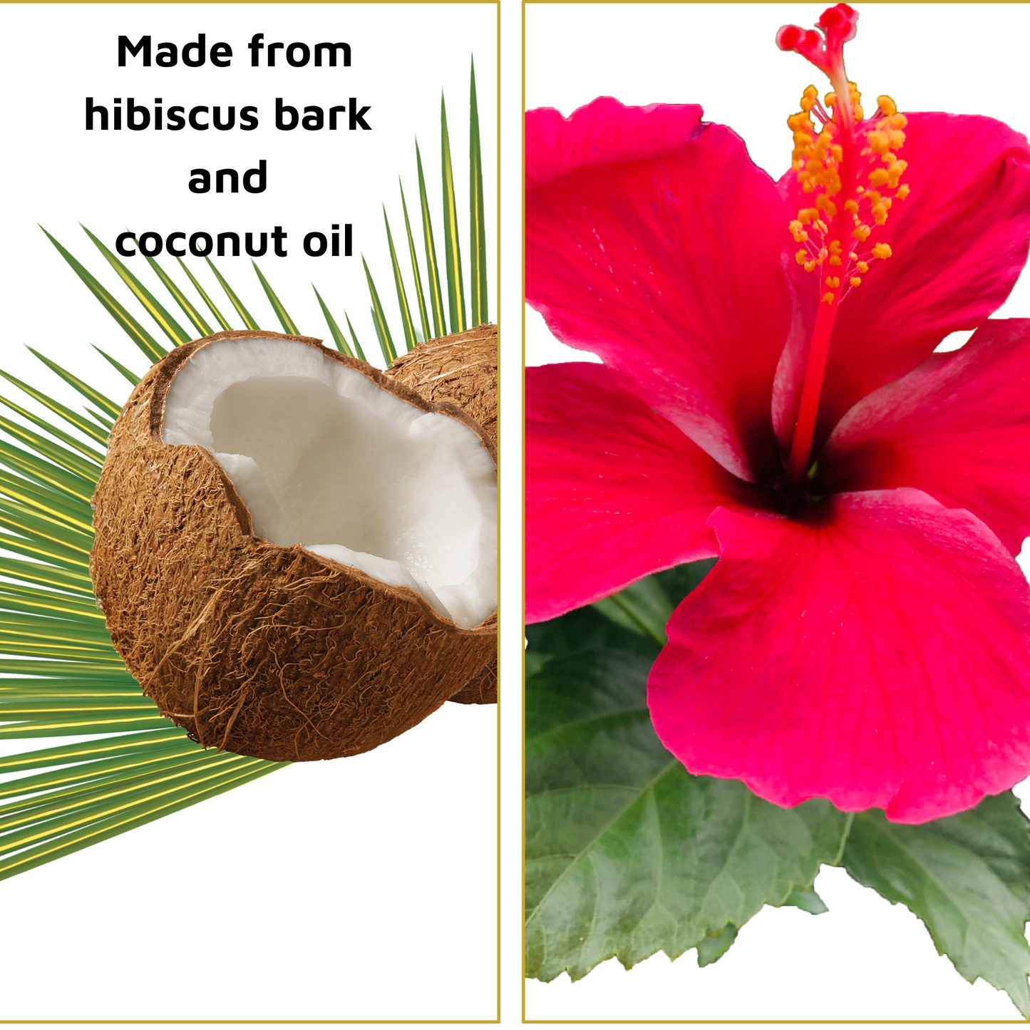 Tvati - Coconut Mobility Massage Oil for Pets