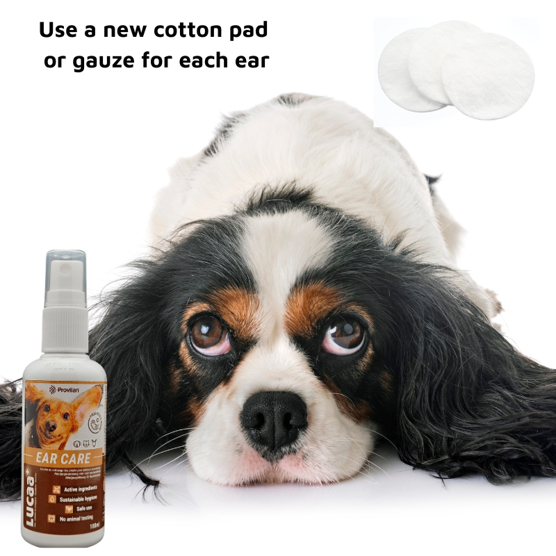 Pet Probiotic Ear Care - 100ml Spray
