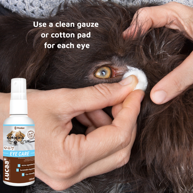Eye Care Spray Cleaner for Cats Dogs Ingenious Probiotics