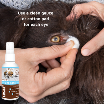 Pet Probiotic Eye Care - 100ml Spray