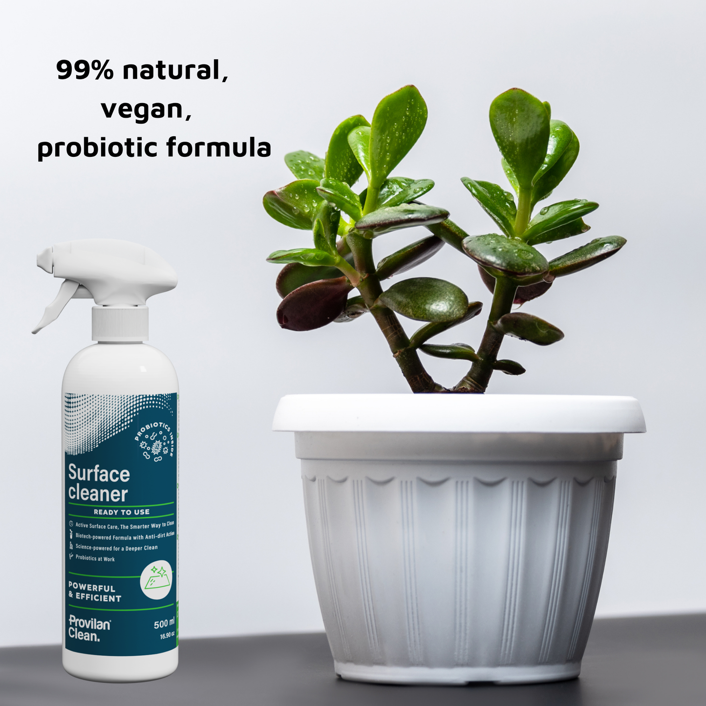 Probiotic Surface Cleaner