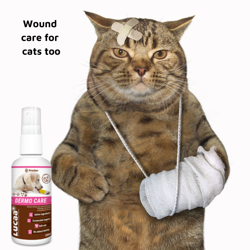 Pet Probiotic Dermo (Wound) Care - 100ml Spray