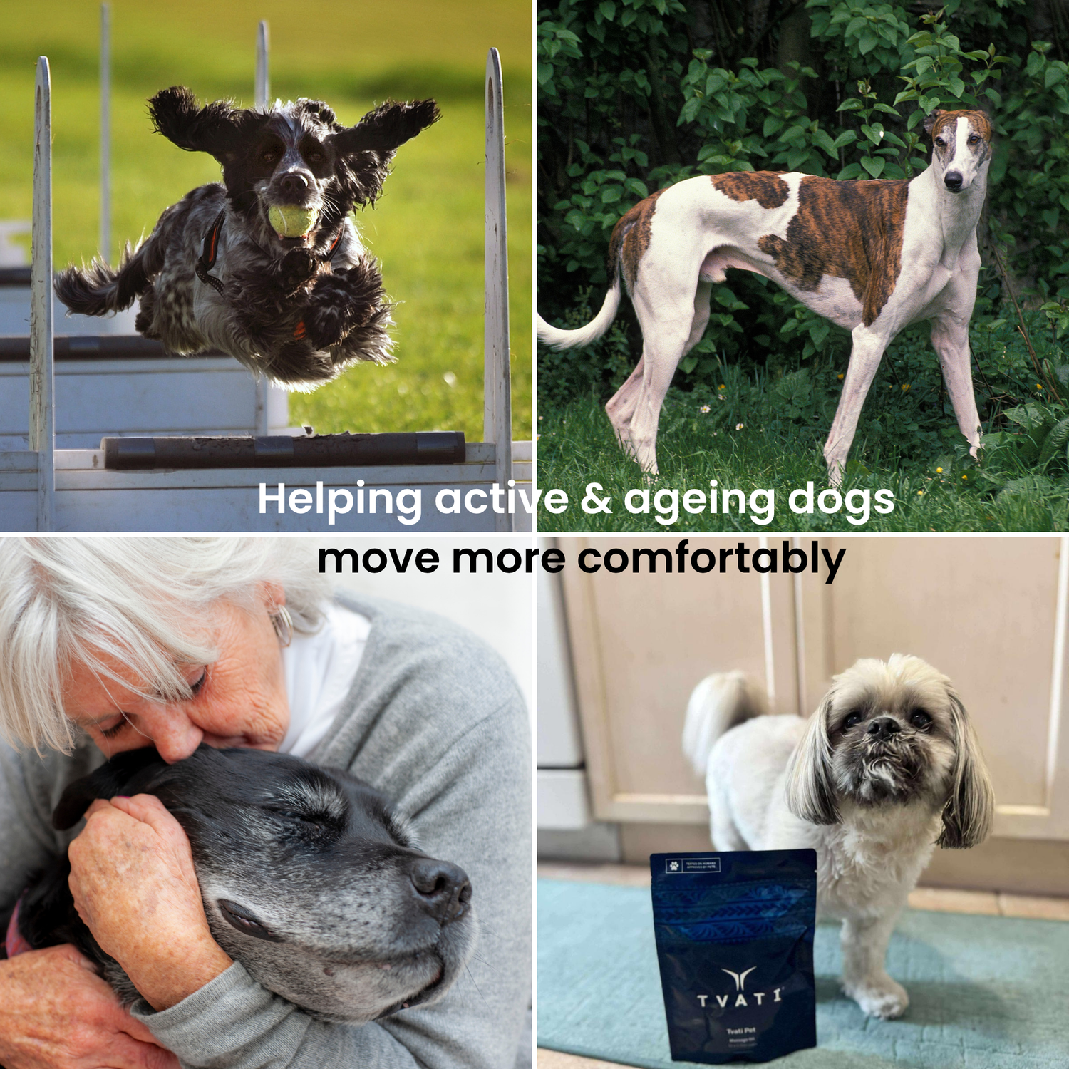 Dogs of all ages staying active and mobile with Tvati natural joint oil