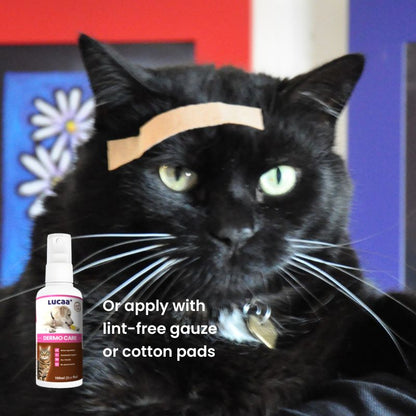 LUCAA+ Probiotic Pet Dermo Care spray applied using lint-free gauze or cotton pads