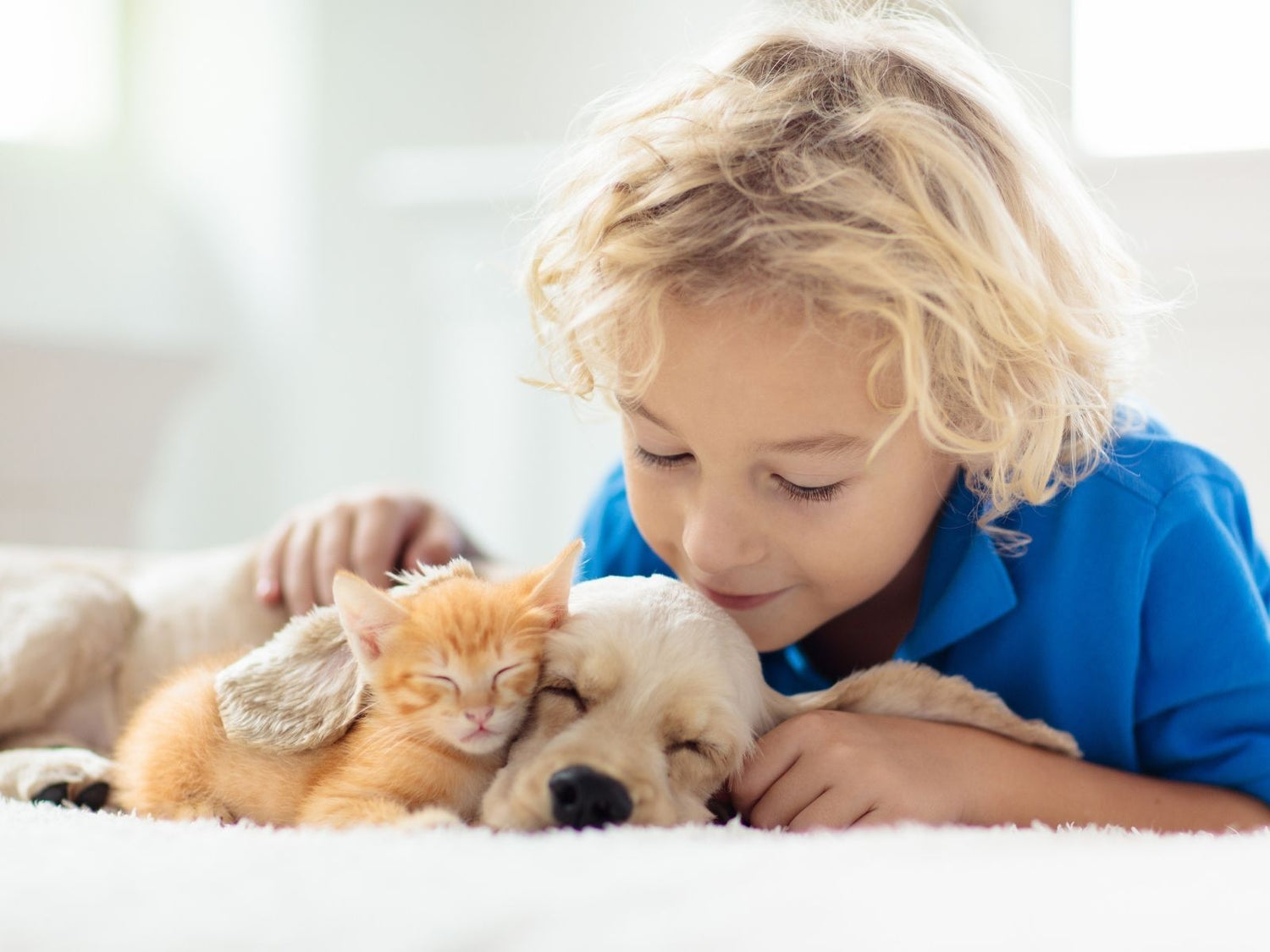 Child resting with a puppy and kitten in a calm, clean home environment