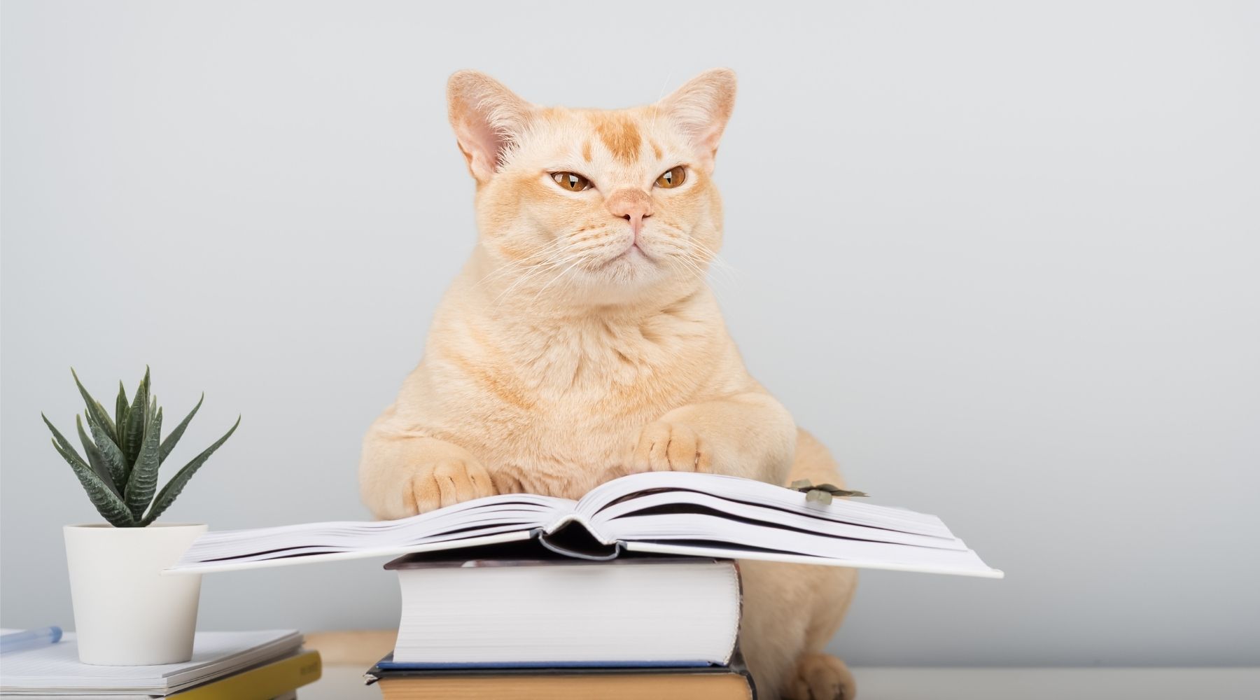 probiotic case studies