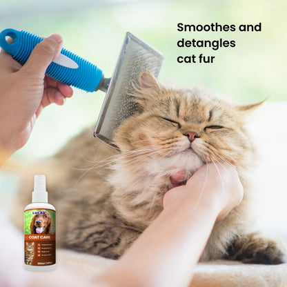 Cat grooming supported by LUCAA+ Probiotic Coat Care spray for smoother, softer and easier-to-manage fur