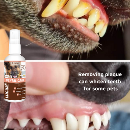 Pet Probiotic Dental Care - 100ml Spray
