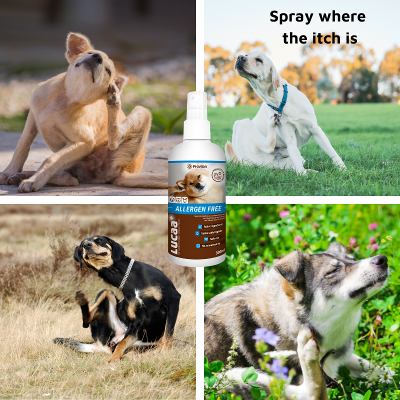 Pet Probiotic Allergen-Free - 300ml Spray
