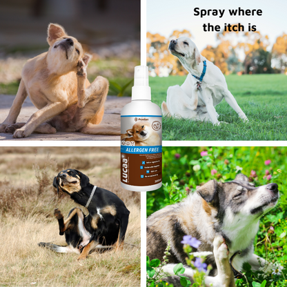 Pet Probiotic Allergen-Free - 300ml Spray
