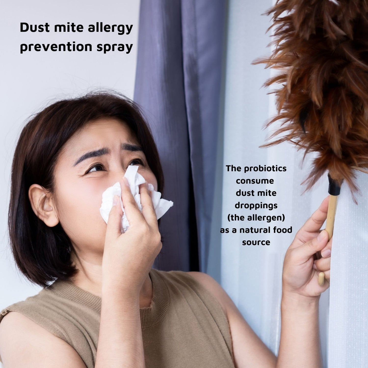 dust mite allergy prevention spray