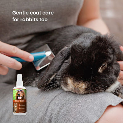 Rabbit grooming supported by LUCAA+ Probiotic Coat Care spray for softer and healthier-looking coats