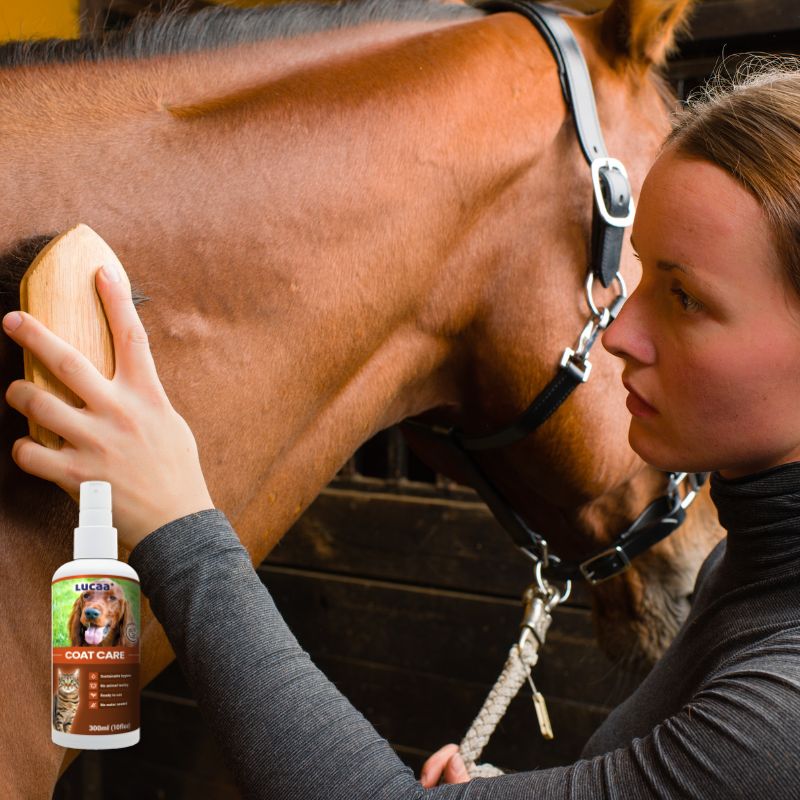 Horse grooming image representing  LUCAA+ Probiotic Coat conditioning spray for glossy coat, tails and mane