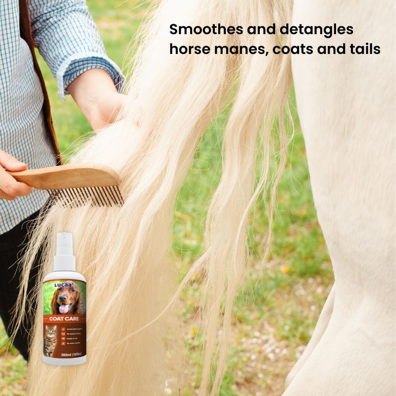 Horse grooming supported by LUCAA+ Probiotic Coat Care spray for smoother manes, coats and tails
