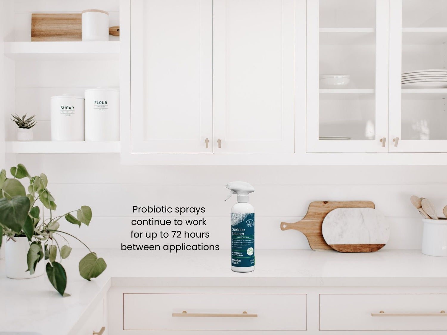 Clean kitchen surface with probiotic spray showing how probiotics work over time to support microbial balance