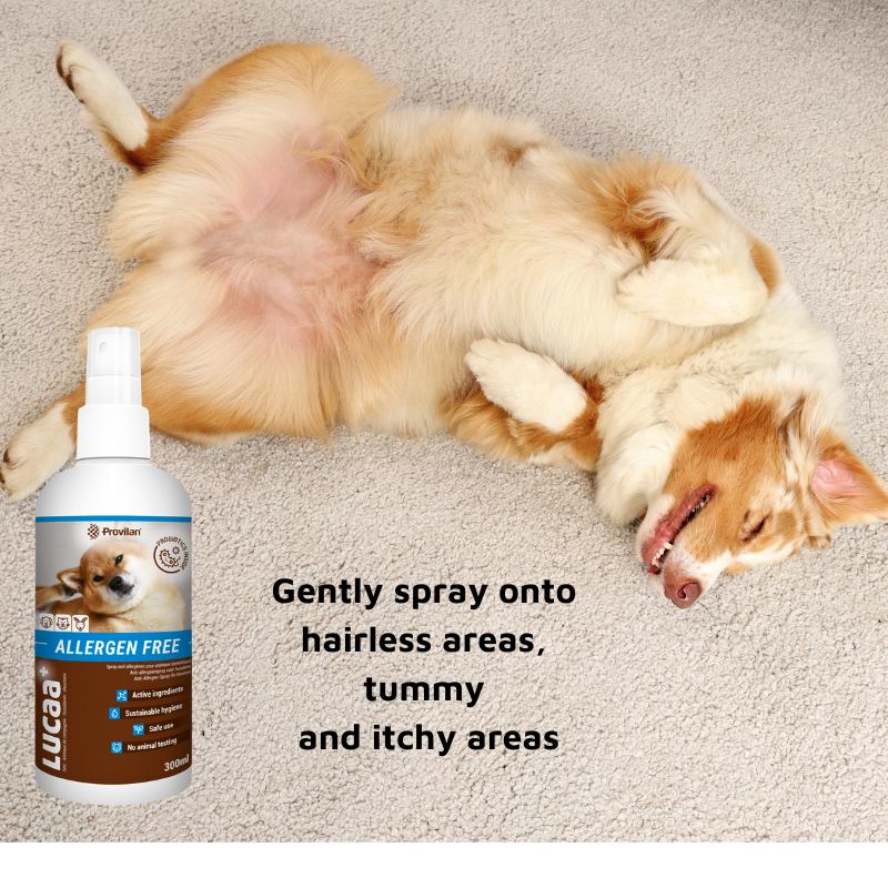 Pet Probiotic Allergen-Free - 300ml Spray