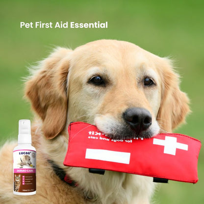 Golden retriever carrying a pet first aid kit beside LUCAA+ Dermo Care probiotic wound cleaner spray for dogs and cats