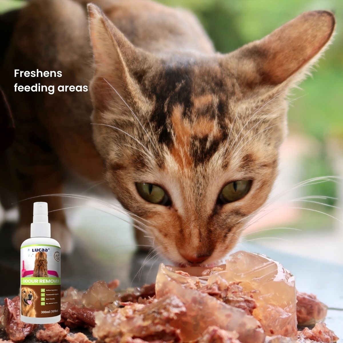 Cat eating beside a bottle of probiotic pet odour remover, illustrating odour control for feeding areas.
