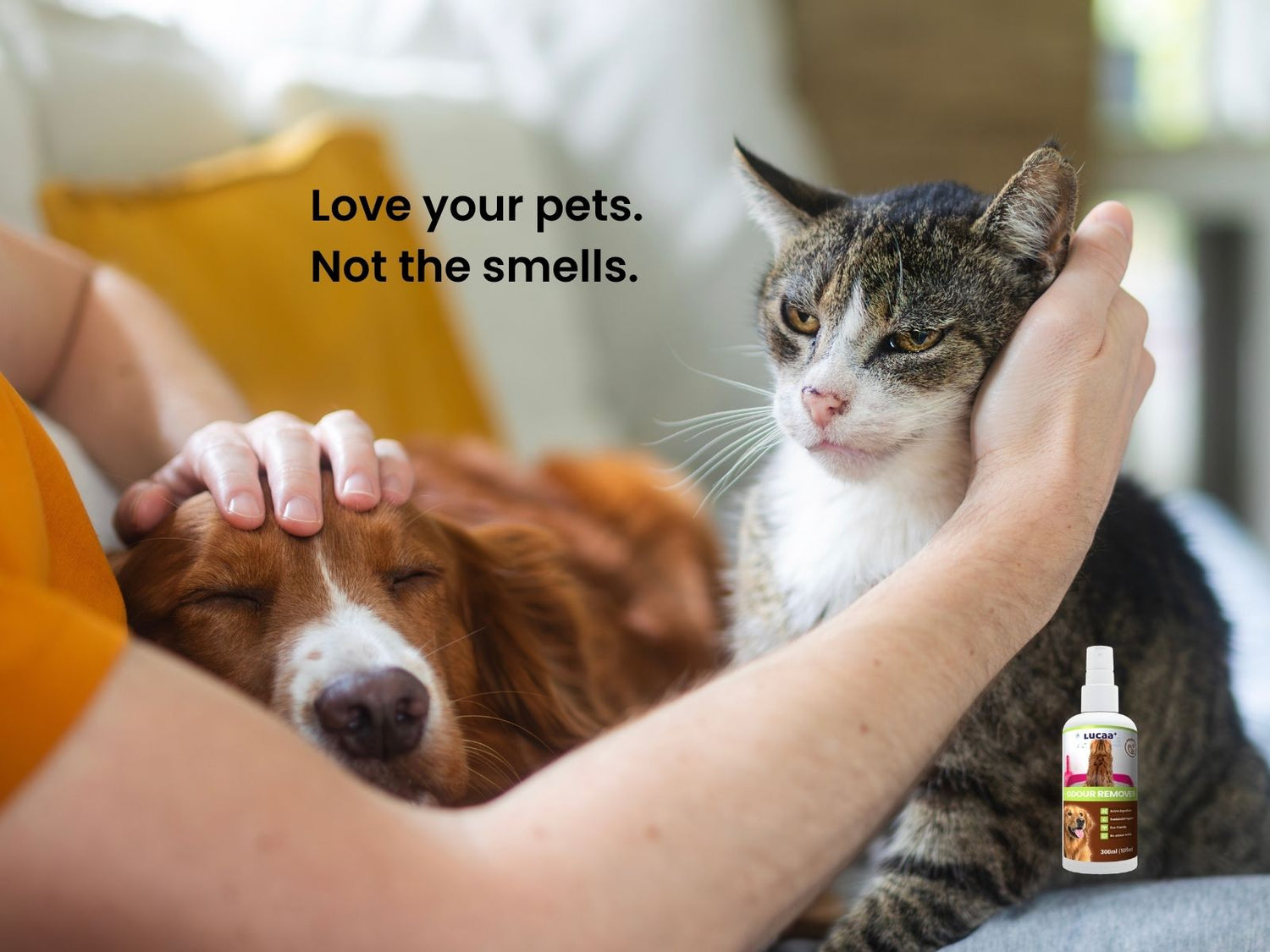 Dog and cat with a bottle of probiotic pet odour remover, illustrating a fresher home for pets and their families.