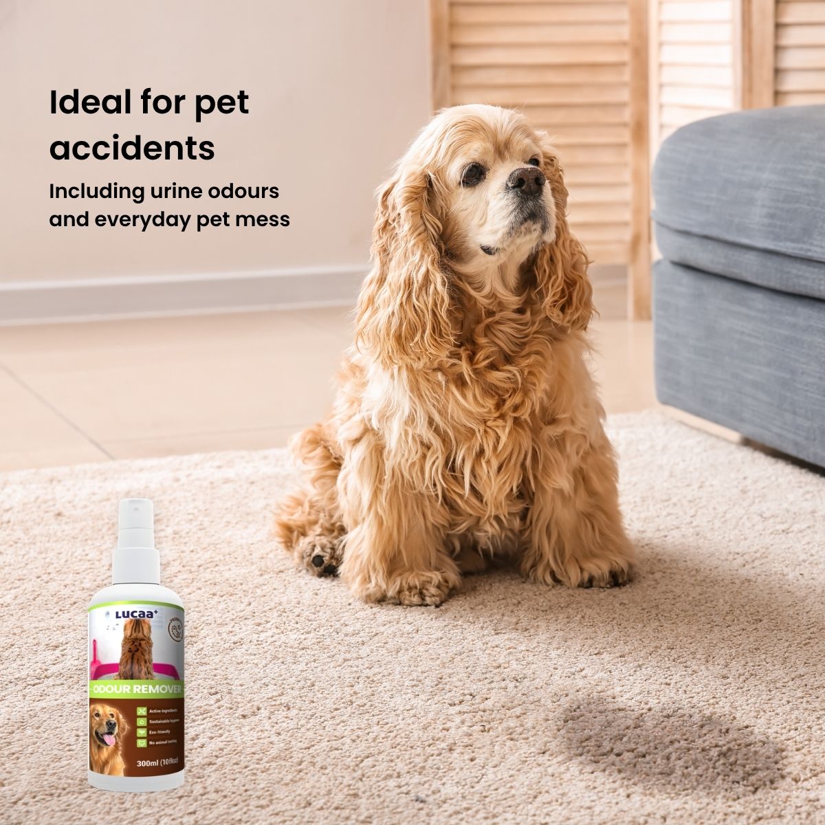 Puppy beside a bottle of probiotic pet odour remover, illustrating odour control for pet accidents.