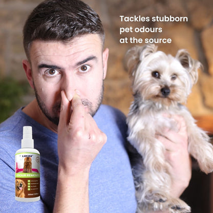 Person holding a dog beside a bottle of probiotic pet odour remover, illustrating pet odour control.