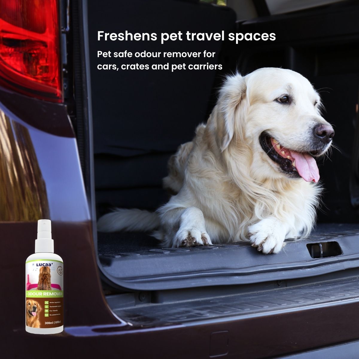 Dog in a car beside a bottle of probiotic pet odour remover, illustrating odour control for pet travel.