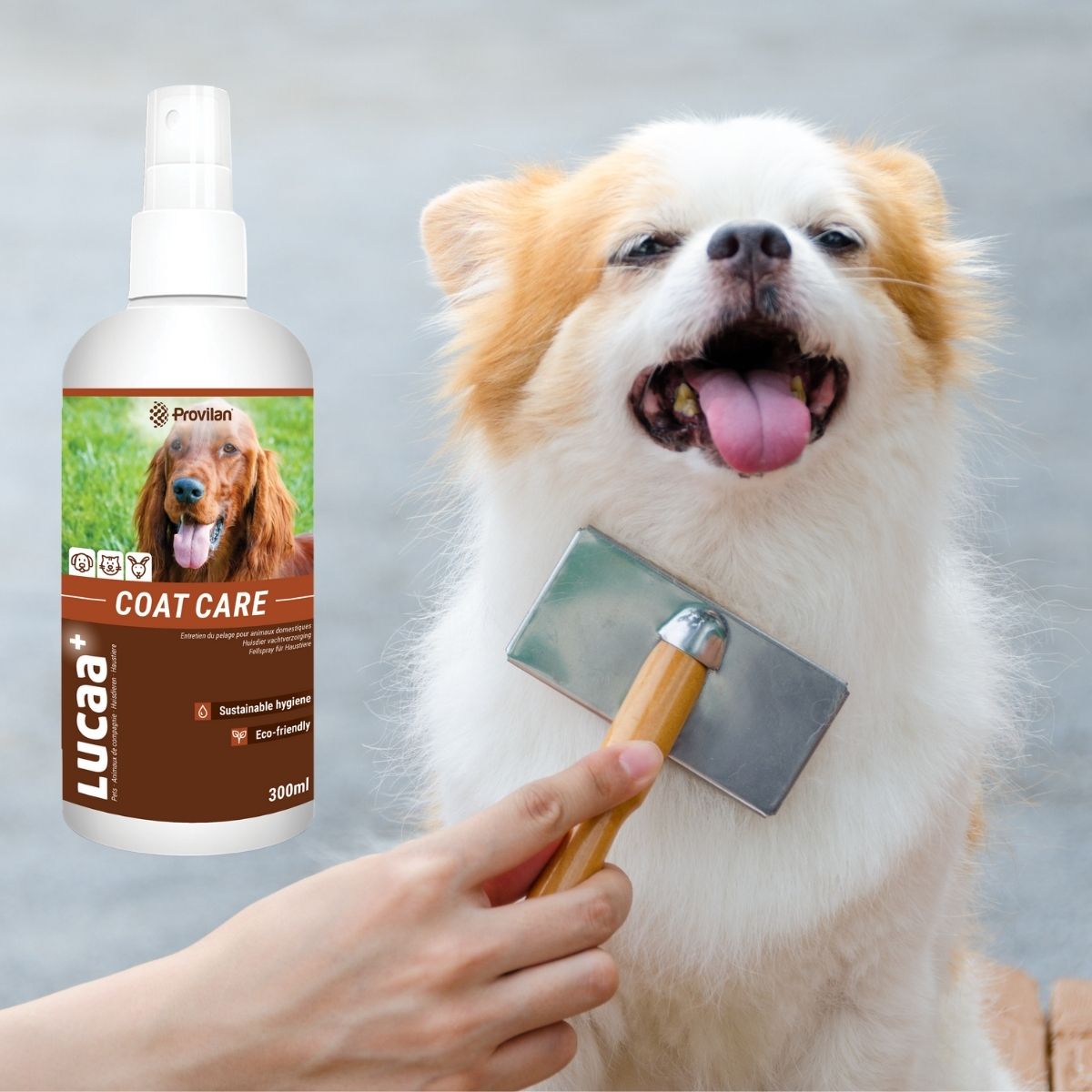 pet_care_wholesale_supplier_uk
