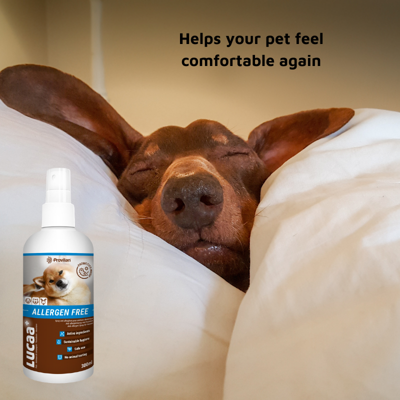 Pet Probiotic Allergen-Free - 300ml Spray