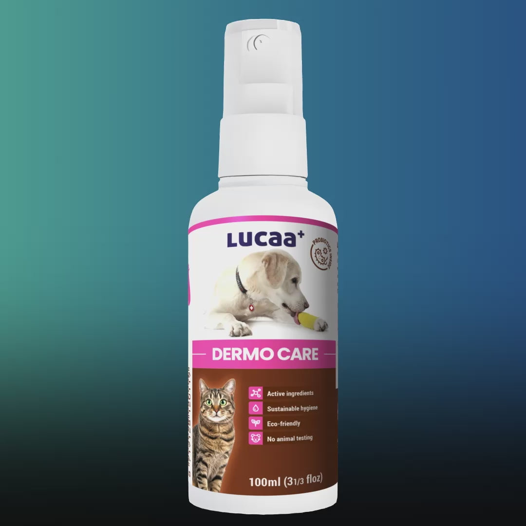 360 degree view of LUCAA+ Probiotic Dermo Care spray for dogs and cats