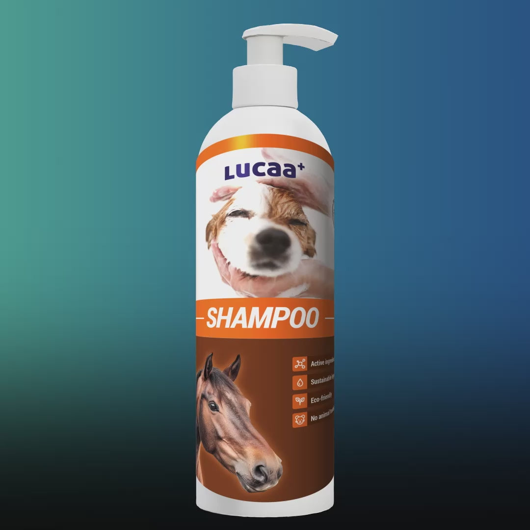 360 degree view of LUCAA+ Probiotic Pet Shampoo 1L for dogs and horses