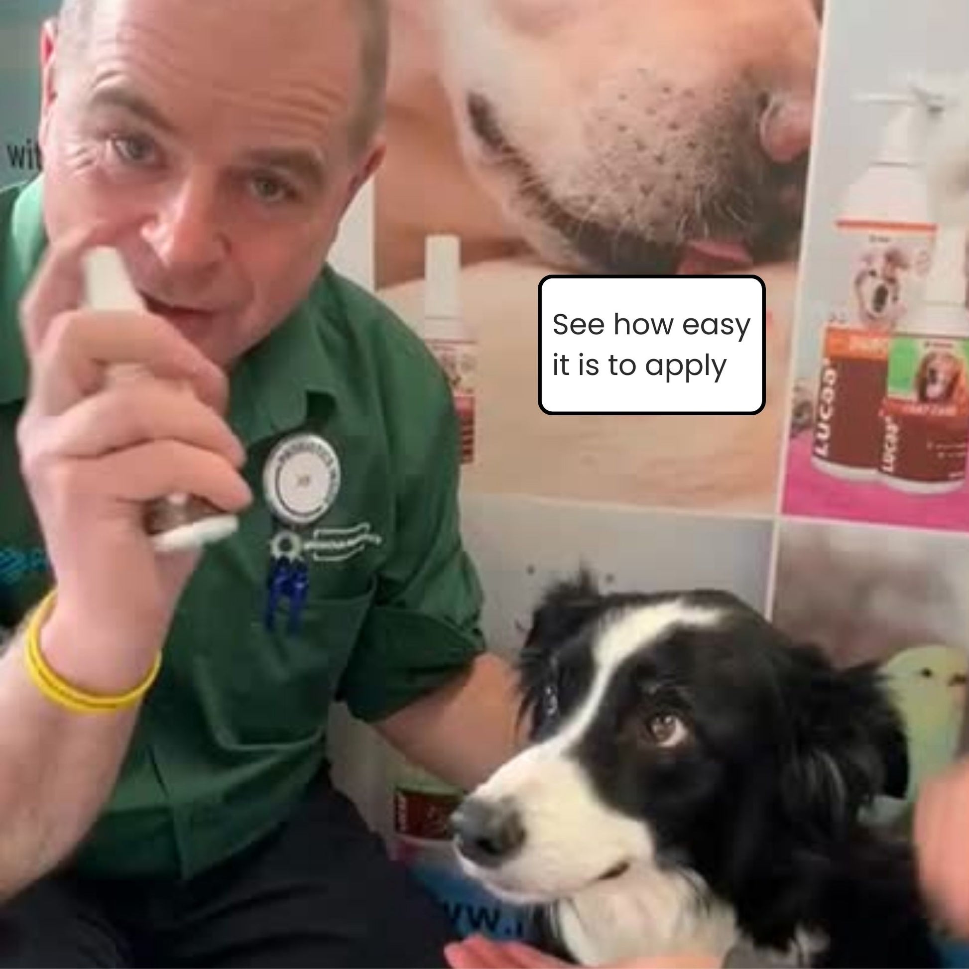 Short demonstration video showing probiotic dental care spray being applied to a dogs teeth and gums