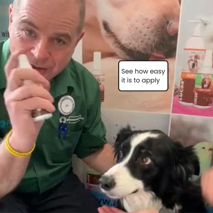 Short demonstration video showing probiotic dental care spray being applied to a dogs teeth and gums