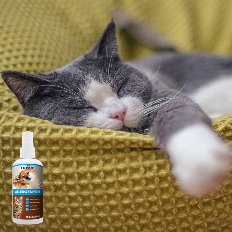 Sleeping cat on pet bedding beside LUCAA+ Probiotic Allergen-Free Spray for pollen and dust mite support