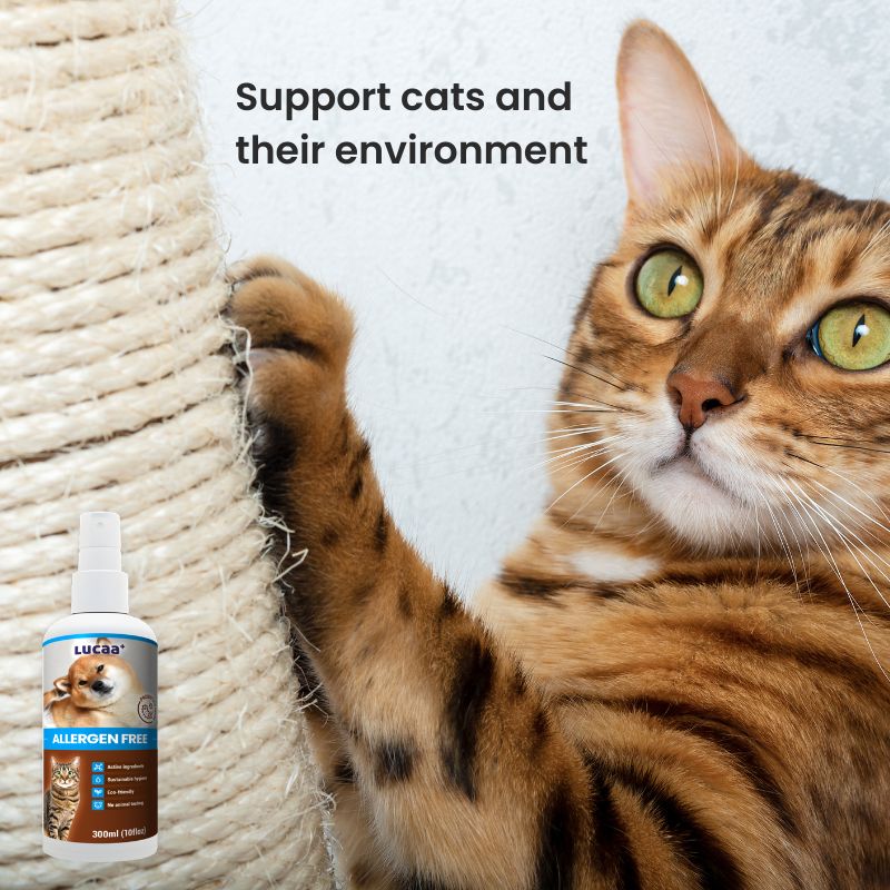 Cat scratching post with LUCAA+ Probiotic Allergen-Free Spray for pets and home environmen