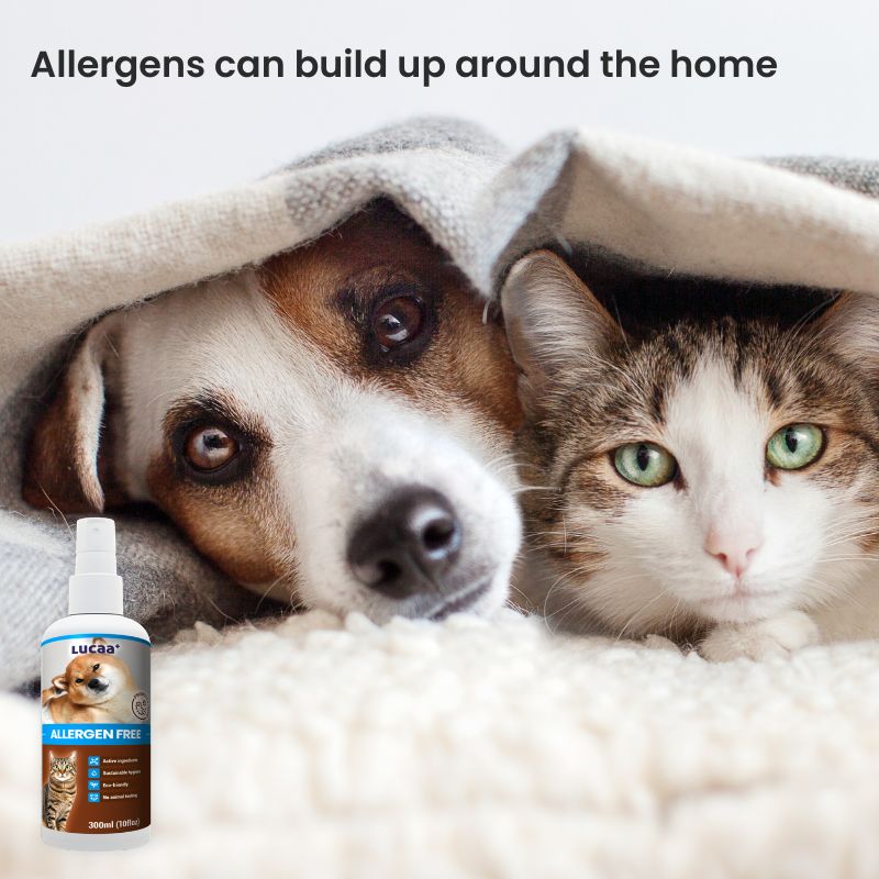 Dog and cat indoors beside LUCAA+ Probiotic Allergen-Free Spray for pollen and dust mite allergy support