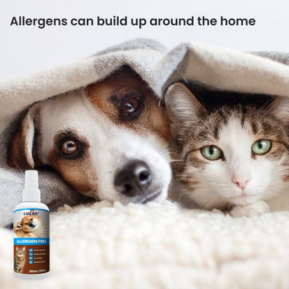 Dog and cat indoors beside LUCAA+ Probiotic Allergen-Free Spray for pollen and dust mite allergy support