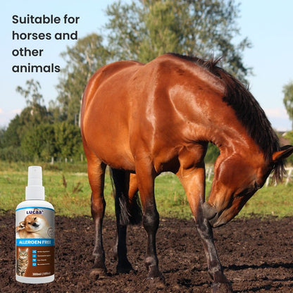 Horse with LUCAA+ Probiotic Allergen-Free Spray suitable for horses and other animals