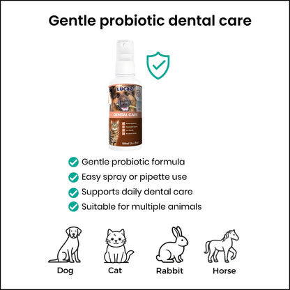 Probiotic dental care spray benefits showing gentle formula and suitability for dogs cats rabbits and horses