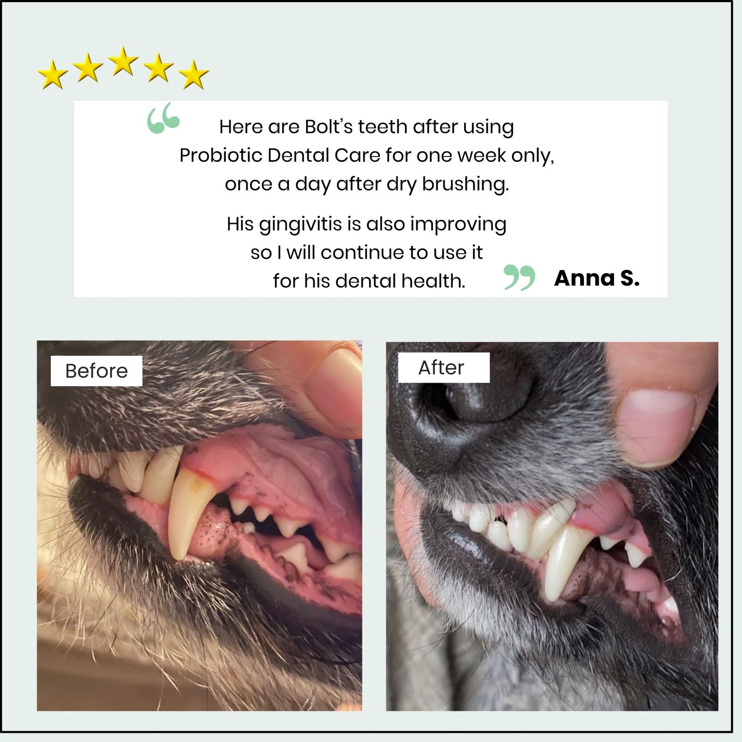 Customer review showing dog teeth before and after using probiotic natural dental care spray 