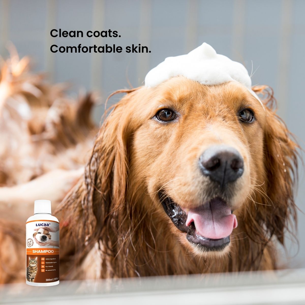 Probiotic dog shampoo for itchy and sensitive skin