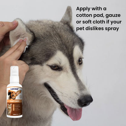 Cleaning a dog's ear using a cotton pad beside LUCAA+ Probiotic Ear Care dog ear cleaner spray for ear hygiene
