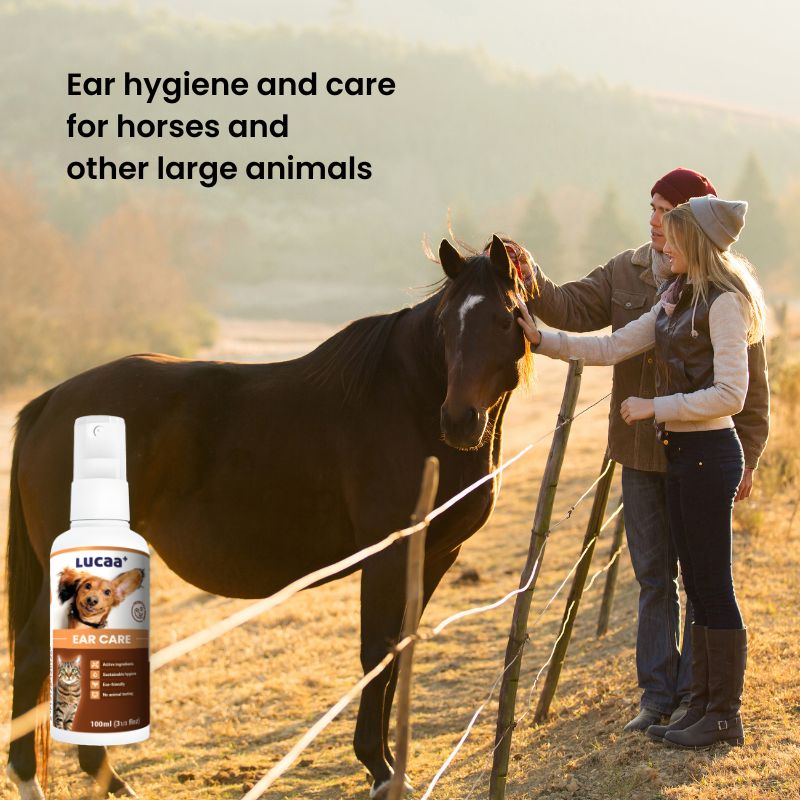 Horse beside LUCAA+ Probiotic Ear Care ear cleaner spray for horse ear hygiene, ear care and comfort
