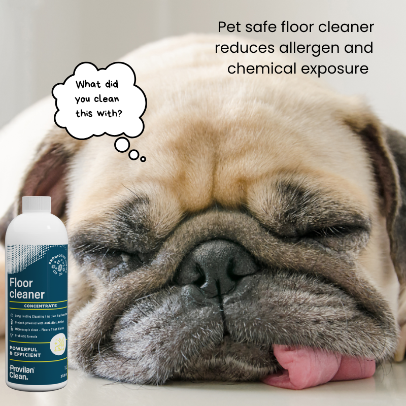 Probiotic floor cleaner for pet homes helping reduce allergens and chemical exposure on floors where pets rest