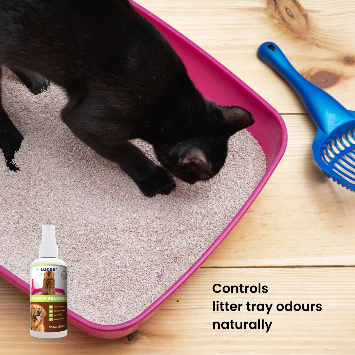 Cat using a litter tray beside a bottle of probiotic pet odour remover.